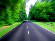route-vitesse-arbres-vegetation