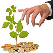 plante-arbre-argent-pieces-main