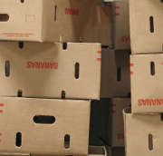 Transport de marchandises : n'oubliez pas l'assurance professionnelle