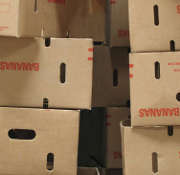 Assurance pro et stocks de l'entreprise